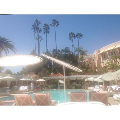 The best Sunday I&rsquo;ve ever had #Sundays #views #cali #beverlyhills #beverlyhillshotel #pool