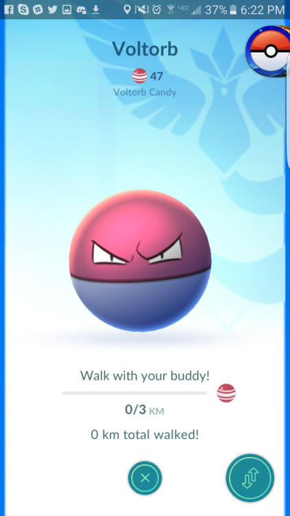 Voltorb could you at least *pretend* to be excited