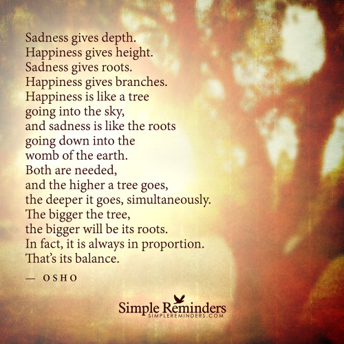 “Sadness Gives Depth. Happiness Gives Height. Sadness Gives Roots. Happiness Gives Branches. Happiness