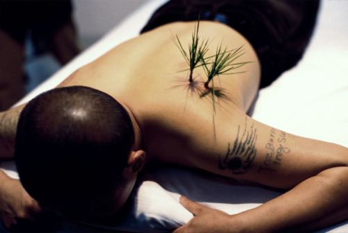 tom-isaacs:  Planting Grass - Yang Zhichao  In his piece Hide (2004) Yang, with the help of artist Ai Weiwei and a surgeon, explores this development. Sitting in Beijing’s art district Caochangdi, Yang submits his body to science and has a small metal
