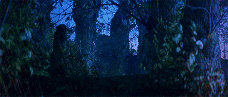 haidaspicciare:Rutger Hauer, “Ladyhawke” (Richard Donner, 1985).