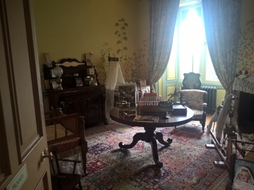 Since you like Victorian stuff, here’s some pics of the Victorian Nursery in Kilkenny Castle I visit