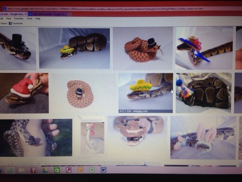 ispeakforthebeez:I WILL NEVER UNDERSTAND WHAT IS SO SCARY ABOUT SNAKESLOOK AT THE LITTLE SNEKTHEY SO