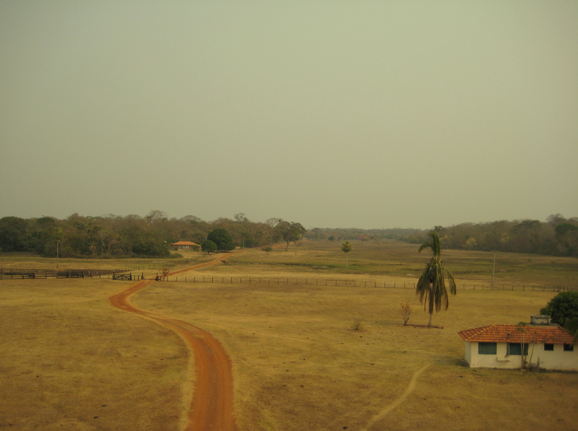 ragadosraios:  Pantanal