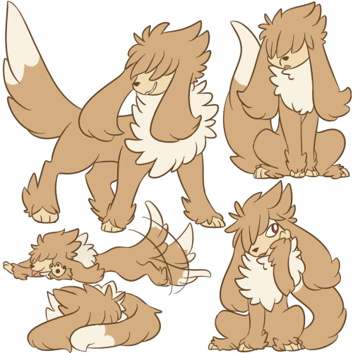 Furfrou but, Eevee? Designs by @goldmouse