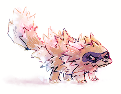 hushcoil:Zigzagoon!Serious, hates to lose