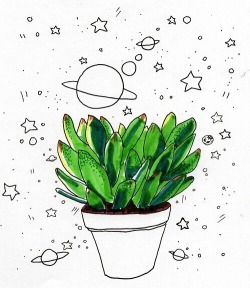 plantyr:  lil' nature blog 