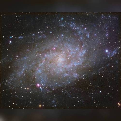 M33: Triangulum Galaxy #nasa #apod #constellation #triangulum #m33 #spiralgalaxy #pinwheelgalaxy #triangulumgalaxy #stars #starcluster #interstellar #intergalactic #universe #space #science #astronomy