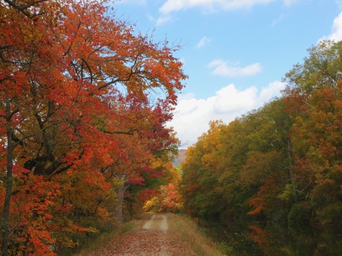 Come with me for a walk along the canal path. If you live within an hour of Walnutport, Pennsylvania