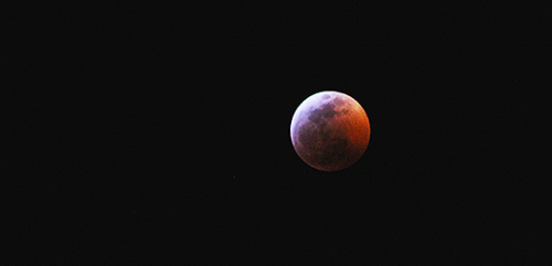 XXX taultvec:Capturing the blood moon was... photo