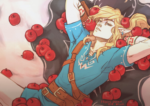frogsdontdie: LOZ Secret Santa for greencladprince Happy New Year! 2015 is going to be a good one I 