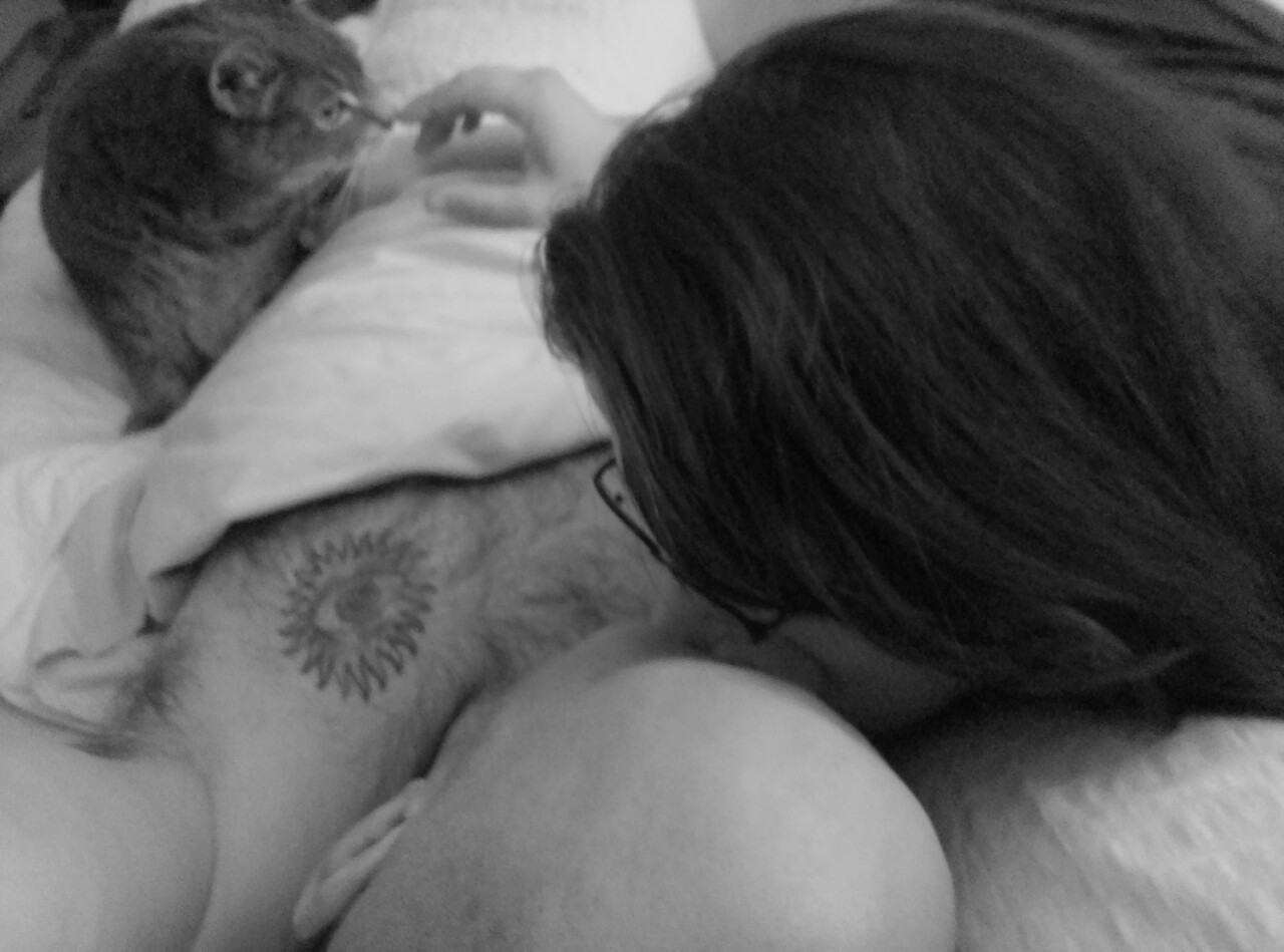 curvynerdywordy:  Nothing like going in for a bed time smooch and getting a kitty