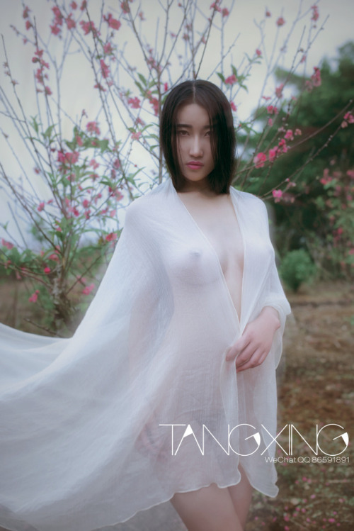 tangxing:  花WeChat 微信：mymm0000 微博：@TANGXING摄影 http://weibo.com/6330276500