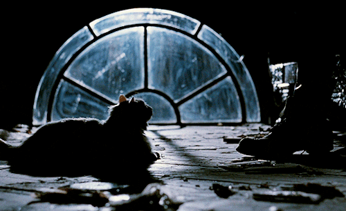 It Cant Rain All The Time.THE CROW (1994) Dir.Alex Proyas