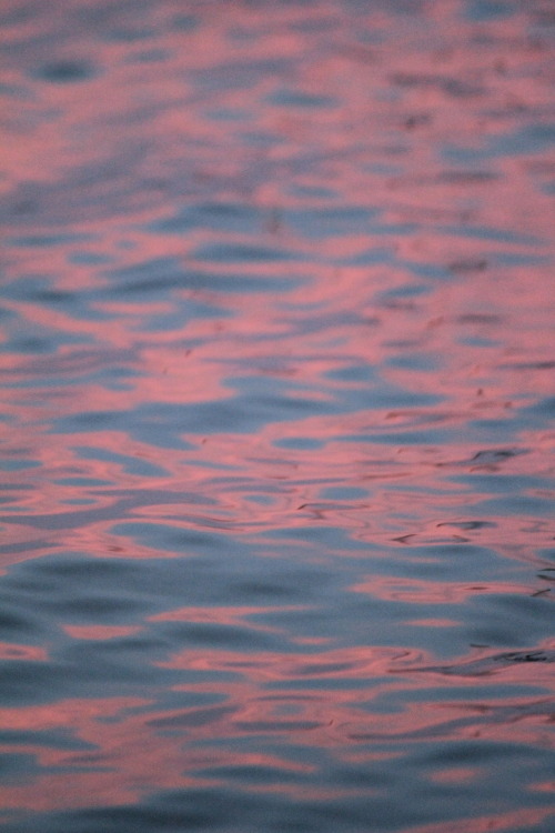 ashleighsphotography:The most pink dappled water i’ve seen before. This sunset over Surfers Paradise