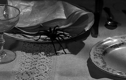 Spider Baby (Jack Hill, 1967)