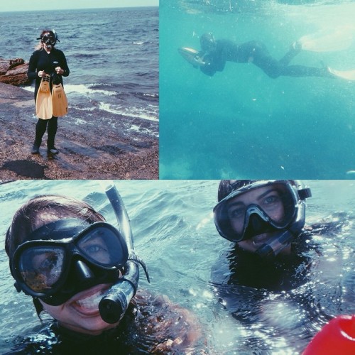 Snorkeling in Australia #Australia #snorkeling #wanderlust