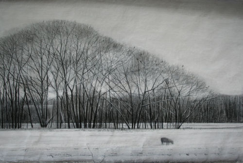 artemisdreaming:Snow PaintingsThomas Lamb HERE