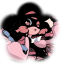 nomkiwi