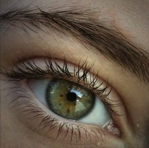 EDWARD CULLEN, BRIDGERTON AU