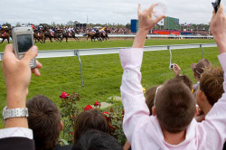 fuzzywuzzymcsnugglydeerbutts:fuzzywuzzymcsnugglydeerbutts:Horse race 🐎Butterbean🐎Sirshitsalot🐎Silver