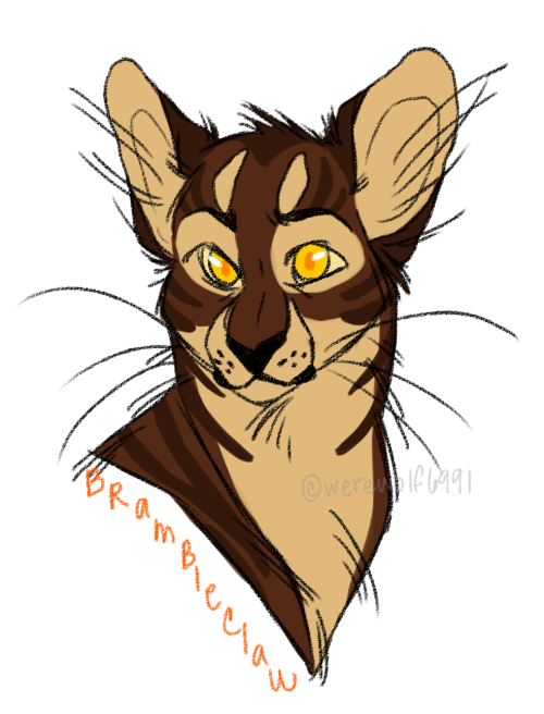 warriorcatshappen:Brambleclaw by Deerffin