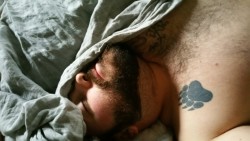 titancub:  Nooooo… sleepy bear can’t