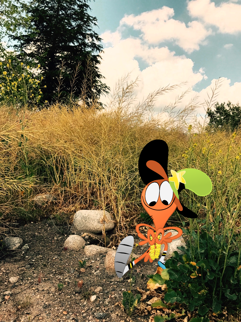 wanderin-over-yonder:  Wanderlust
