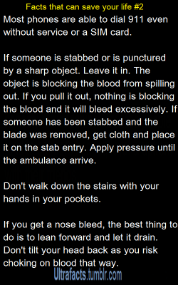 ultrafacts:  joveawaits:  ultrafacts:  (Click For Part 1) Sources: 1 2 3 4 5 6 7 8 9  If you want more facts, follow Ultrafacts  Why would you ever be close enough to a polar bear to be attacked  You never know when it might happen  ( He made it out