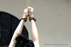 alcovesparisiennes: I let my little slave