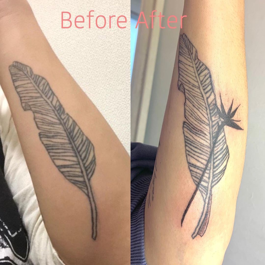 Tokyo Tattoo Studio トラディショナルタトゥー パンサー Traditional Style タトゥー Tokyo Tattoo Studio トラディショナルタトゥー パンサー Traditional Style タトゥー