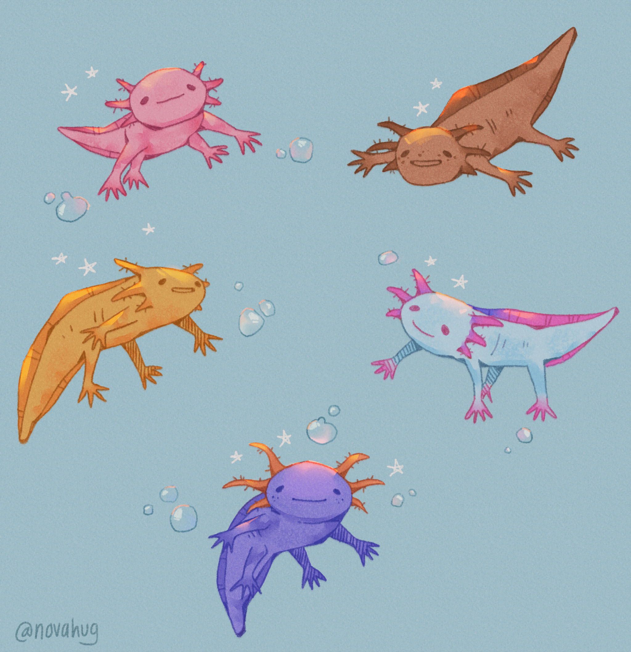 Nova The Axolotl Explore Tumblr Posts And Blogs Tumgir Nova The Axolotl Explore Tumblr Posts And Blogs Tumgir