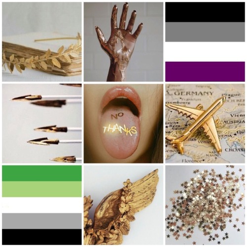Gold AroAce Moodboard for Anonymous
