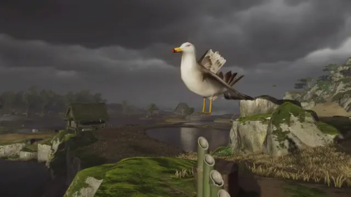 Seagull From Ghost Of Tsushima