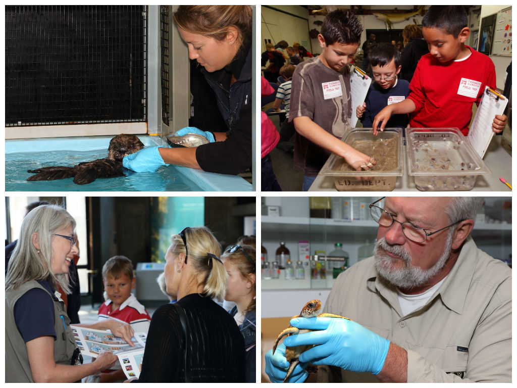 Enduring Gifts
By Jim Covel, Director of Guest Experience & Interpretation
David and Lucile Packard intended the Monterey Bay Aquarium to be a gift to the community. However, I’m not sure even the Packards would have envisioned the reach and...