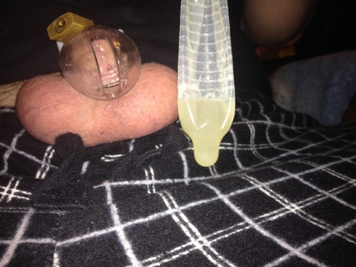 Porn ichastity2014:  10-16 condom over cage, milk photos