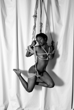 lameilleurrr:  The art of rope tying at its