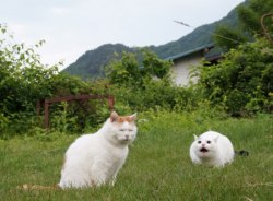 kaible:&ldquo;He’s behind me making that fucking face again. I don’t even have to turn around to know it. God damn it. I hate that goddamned stupid face he makes. God fucking damnit.&rdquo;