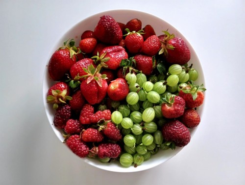 Every week more and more berry varieties ripen. Here are strawberries, gooseberries, tayberries and 