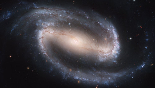Barred Spiral Galaxy NGC 1300 : Big, beautiful, barred spiral galaxy NGC 1300 lies some 70 million l