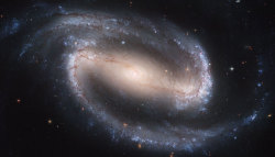 into-theuniverse:  NGC 1300