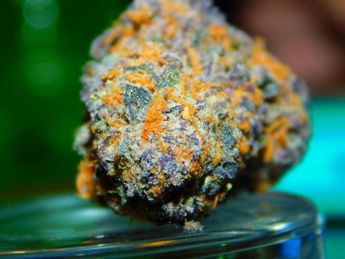 potheadkitten:  Purple Punch   This looks tasty