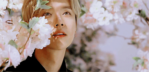 7thvelvet:luhan x L'Occitane en Provence