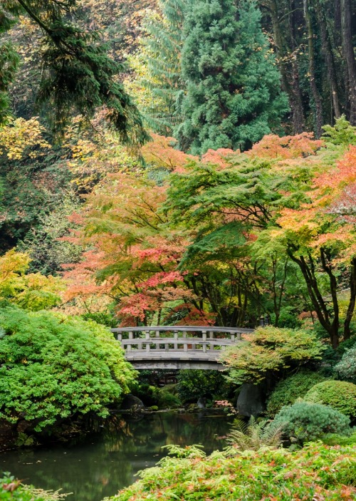 travelingcolors: Japanese Garden, Seattle | Washington (by Saji Viswam)