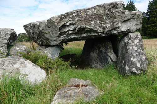 Plas Newydd Burial Chamber, Anglesey, 30.7.17. Situated rather incongruously next to the cricket pit