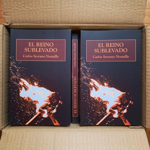 ¡Ya están aquí! Qué emocionante es el día que recibes los paquetes, los abres y te encuentras con el trabajo de tantos meses, plasmado en papel y tinta.
«El Reino Sublevado», una novela histórica sobre los Comuneros de Castilla.
¡Próximamente en...