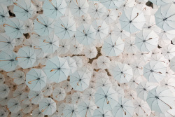 praying:  A Cloud Made of 1,100 Umbrellas