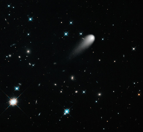 kenobi-wan-obi:Galaxies, Comets, and Stars! Oh My!The sun-approaching Comet ISON floats against a se