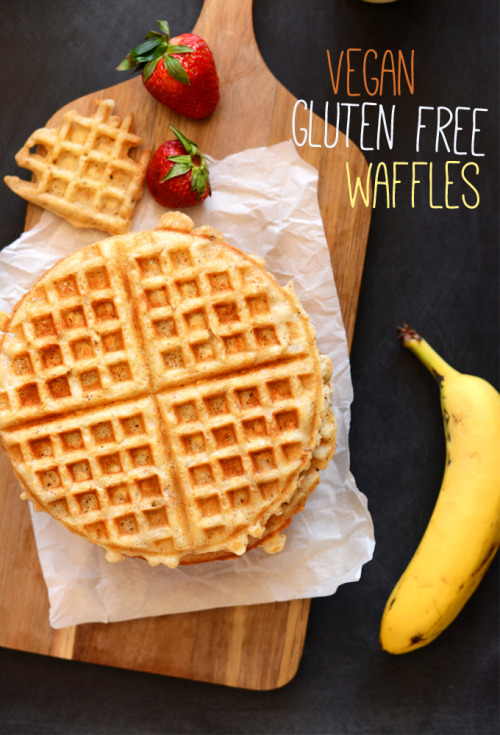 fangirlingmywaytofitness: fitness-is-cheaper-than-therapy: Vegan Gluten Free Waffles RECIPE guys thi