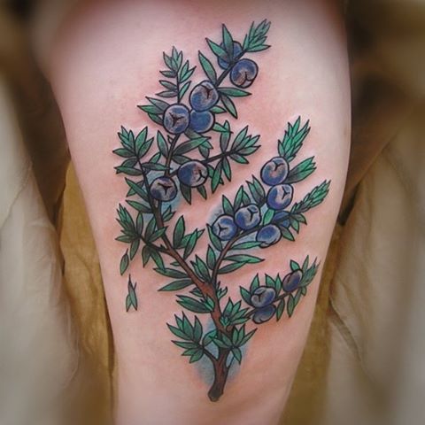 Juniper by lillesnegl li to schedule Philly convention Feb  1012 juniper junipertattoo   Tattoos Body art tattoos Simplistic  tattoos